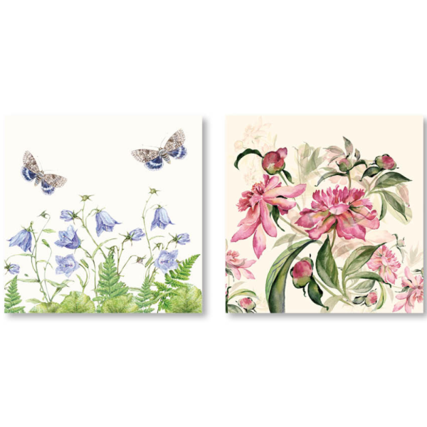 Čestitka sa kovertom- EX