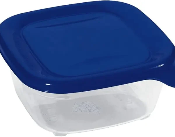Kutija za hranu 0,25l, fresh&go,modra