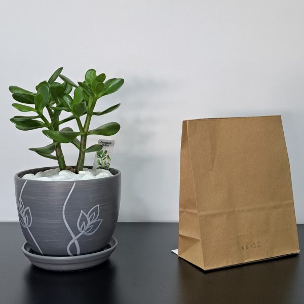 R6492 - Kesa bez ručke, reciklirani papir (18 + 8 × 22 cm)