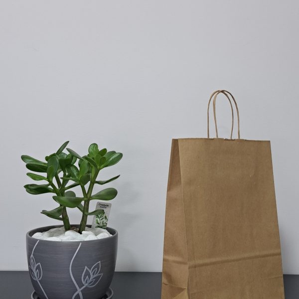 R6475 -  Kesa sa upredenom ručkom, reciklirani papir (22 + 10 × 31 cm)