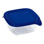 Kutija za hranu 0,25l, fresh&go,modra