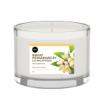 KWIAT POMARA?CZY Z EUKALIPTUSEM - ?WIECA 115g - aroma home