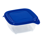 Kutija za hranu 0,25l, fresh&go,modra